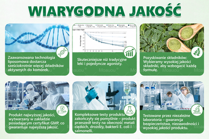 Moauou® Moringa × Berberyna × AMPK 10-w-1 Wsparcie metaboliczne, plaster z nanotechnologią mikroigłową  (Wystarczy raz dziennie, widoczne efekty w 7 dni) ✅ Na otyłość, wiotką skórę, cukrzycę, bezdech senny, problemy ze stawami i wiele innych 🔥