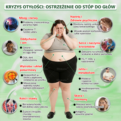 Moauou® Moringa × Berberyna × AMPK 10-w-1 Wsparcie metaboliczne, plaster z nanotechnologią mikroigłową  (Wystarczy raz dziennie, widoczne efekty w 7 dni) ✅ Na otyłość, wiotką skórę, cukrzycę, bezdech senny, problemy ze stawami i wiele innych 🔥